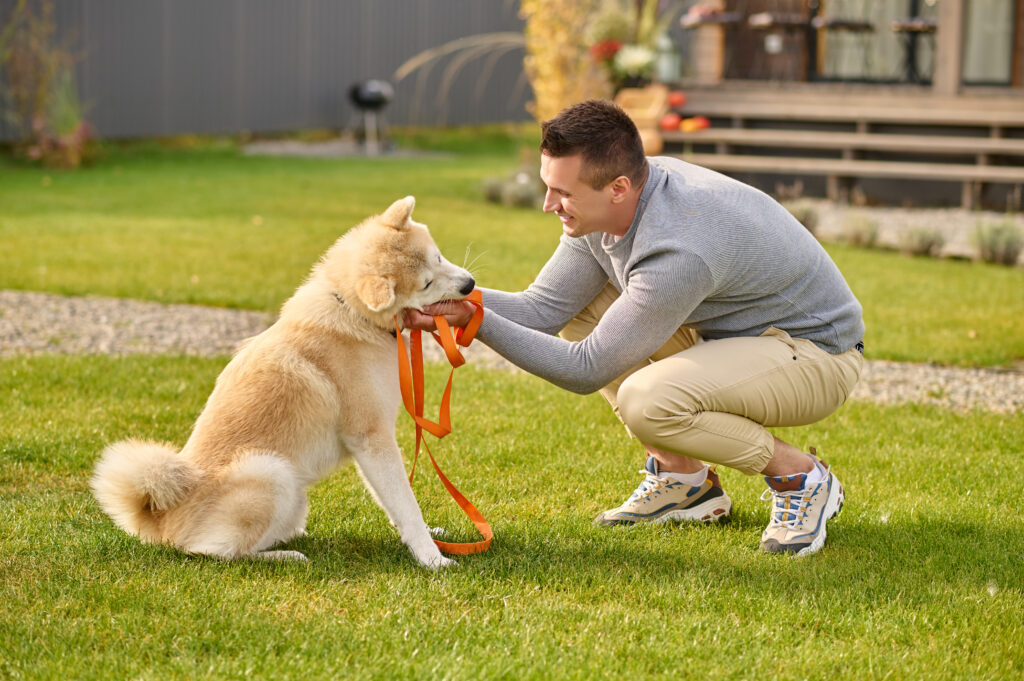 dog poop bags